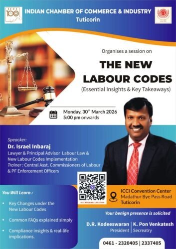 WhatsApp Image 09.41.52